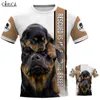 Camo Beagle Dog 3d T-shirt Pełny Druk Zwierząt Projekt Krótki Rękaw Koszula Damska Koszula Kobiety Mężczyźni Plus Rozmiar Topy Drop 210629