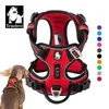 front pull dog harness