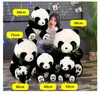 Simulação fofa animal animal panda pluxus brinquedo gigante macio abraço de urso boneca nacional tesouro para crianças decoração de presente 35 polegadas 90cm dy5094777723148