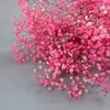 Gypsophila Baby Breath Million Stars Pianta naturale Conservata Fiori secchi Casa Matrimonio Natale Anno Decorazione Personalizzata 210706