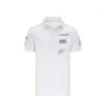 2021 Summer F1 Formula One Racing Suit Polo Shirt Lapel 티셔츠 대형 크기는 같은 스타일로 사용자 정의 할 수 있습니다. Lando Norris Clot284J
