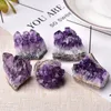 DHLナチュラルアメジストクリスタルクラスタークォーツ生結晶ヒーリングストーン装飾飾り紫色のFeng Shui Stone Ore Mineral by Hope12
