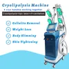 4 Cryoヘッドを一緒に働くCryolipolysisスリミング5クライオサーピーハンドル美機の体重損失多機能リポレーザーダイオードRFの皮締め