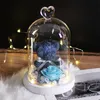 Teddy Bear Rose Flowers In Glass Dome Christmas Festival DIY Cheap Home Wedding Decoration Birthday Valentine's Day Gifts 36 V2