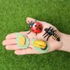 Simulation Animals Ladybug,Butterfly,Frogs,Turtle,Ant,Mosquito,Chicken Growth Life Cycle Figurines Model Action Figures Toy C0220