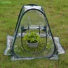 Foldable portable home gardening greenhouse Mini insulation cover for flowers and plants | Kraflo tools