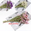 Flores decorativas grinaldas yomdid naturalmente seco buquê esquecer-me-não real para dia dos namorados casamento casamento jardim cenário decoração