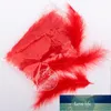 Pack 20g (100pc) Colorful Nature Feather Balloon Accessori Matrimonio Festa di compleanno Clear Bubble Decor Forniture Decorazione di eventi fai da te Prezzo di fabbrica design esperto