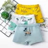 Coton Naturel Shorts Culottes pour Grands Garçons Bande Dessinée Lion Slip Mode Plaid Enfants Mémoires Haute Qualité Enfants Boxers 3 PCS 210622