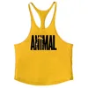 T-shirts masculins gymnase Strimbers pour hommes