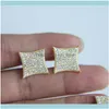 Stud Jewelrystud Hip Hop Men Sier Renk Sidacını Küpe Parlayan CZ Kübik Zirkonya Kare Küpe Vidalı Kadınlar Bling Modaya Mühendik Mücevher1 D