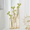 Glas vase hydroponic hem dekoration tillbehör blomma vaser glas växthållare blomma arrangemang metall vaser bröllop dekor 220210