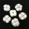 Cotton Flowers Artificial Plants Naturally Dried Floral Branch DIY Gifts Home Wedding Decoration Home Artificial Cotton Dried Flower Decor