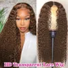 Long Kinky Curly Human Hair Wig Ombre Brown Color Synthetic Lace Front Wigs for African American Women