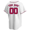 Mäns Anpassade Washington Baseball Jerseys Gör dina egna Jersey Sports Tröjor Personifierad Team Namn och Nummer Stitched