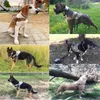 Obroże dla psów smycze wiązka wiązki K9 Regulowana nylonowa kamizelka kołnierza dla zwierząt bungee smycz dla małych wielokrotnych psów Shepherd52222618