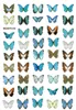 Stickers & Decals 2022 3D Nail Art Bohemia Coroful Butterfly Style Nails For Sticker Decorations Manicure Z0346 Prud22
