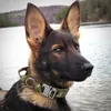 Militärisches taktisches Hundehalsband Deutscher Schäferhund Mittelgroße Hundehalsbänder für das Walking-Training Duarable Hundehalsband-Kontrollgriff 210729