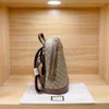 2021 Luxury Designer Women Backapcks cltuch Borse Borsa da donna lettera Borse Wave Pattern check Fanny Borse a spalla Zaino St224W