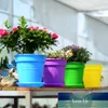 20pcs 즙이 많은 식물 냄비 접시 라운드 플라스틱 트레이 화분 워터 플레이트 정원 발코니 (임의 색상)