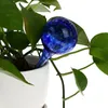Watering Equipments European Style Automatic Glass Ball Plant Globes Bulb 6 Cm X 6CM X151129246