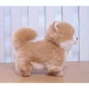 Aurora Pomeranian docka frise valp fylld Shunsuke hund djur plysch leksak söt simulering husdjur fluffiga dockor födelsedaggåvor 210728