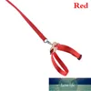 Pet Parrot Small Bird Harness Leash Outdoor Adjustable Training Rope Anti Flying Traction Strap Portable Soft Ultralight Band Factory price expert design Quality
