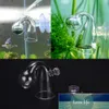 carbone pour aquarium