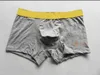 Lettere di alta qualità Intimo da uomo Boxer in cotone da uomo Set di mutandine comode Gay Intimo sexy da uomo Boxer Intimo