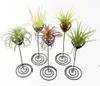 Atacado decorações de jardim ar plantar suporte de ferro preto flor espiral flor contêiner Tillandsia Daw99