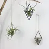 手作りの枝編み細工品籐の花のバスケット緑のプランターぶら下がっているコンテナの壁の植物のバスケットのための植物のバスケット210712