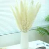 80cm Pampas Grass Natural Reed Wedding Dried Flower Large Ceremony Modern Home Decoration Valentines Day Fast Shipping