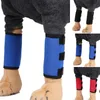 Vêtements pour chiens 1 paire SBR Pet Legs Brace Genou Support Protector Hock Sleeve