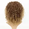 15 inches Afro Kinky Curly Synthetic Wig Side Apart Pelucas Simulation Human Hair Wigs Grey Color perruques de cheveux humains MS91715449