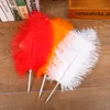 Długopisy Długopisy Ostrich Feather Book Książka Pen Wedding Party Wonderful Podpis Prezent