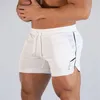 Męskie szorty gimnastyczne bieganie sportu fitness kulturystyka cienkie spodnie dresowe trening zawodowy męski marka krótkie spodnie C0222271B