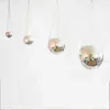 Disco Ball Planter Globe Shape Hanging Vase Flower Planter Pots Rope Hanging Wall Homw Decor vase Container room decoration 210615