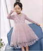 Retail Spring Autumn Baby Girls Dresses Lace embroidery Splice gauze Long Sleeve Dress Children Clothing E316964 210610