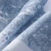 Męski śnieg górski nadruk zwyczajny na plaży pnie pływania szorty letnie męskie poliester z siatką z podszewką 210601