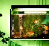 3st 36 Fish Tank Heat Rod Aquarium Automatisk konstant justerbar temperaturvärmare Tortoise20464890976