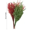 Flores decorativas grinaldas 100g 50cm secado amante natural grama preservada dança decorações de natal 2022 ano decoração de casa