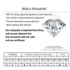 MOISSANIT S 0.5 6つ星Moissanite Silver 925 Luxury Dカラー宝石のペンダントネックレス