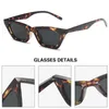 Sunglasses MADELINY Vintage Small Cat Eye Women Sun Glasses Shades For Woman Retro Sunglases UV400 MA232