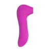 NXY vibrateurs jouets sexuels en gros Rose vibrateur chatte Vibration luxe vagin femelle Vibra pour les femmes 0104