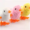 1pcs Leuke Wind Up Chick Pluche Dieren Speelgoed Kinderen Jongen Meisje Knuffels Chick Clockwork Lopen Speelgoed Kinderen Leuke Geschenken 15 Y28627340