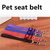 dog accessories for car travel