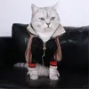 패션 지퍼 디자인 애완 동물 자켓 야외 거리 스타일 개가 의류 겨울 트렌디 한 테디 비 숑 강아지 옷