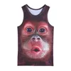 Singe gorille animal d'été pour hommes imprimé 3D Débardeurs Hauts sans manches pour garçons vêtements de musculation dessin animé maillot de corps gilet 220309