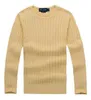 2021 new high quality mile wile polo brand men's twist sweater knit cotton sweater jumper pullover sweater Small horse game