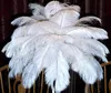 Décorations de mariage belles plumes pour bricolage carte d'artisanat de mariée décorer la décoration des plumes d'autruche